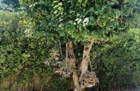 Barrio Apartments - Foto 16