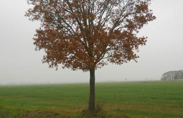 Ferienhaus Atelier am Südhang - Foto 26