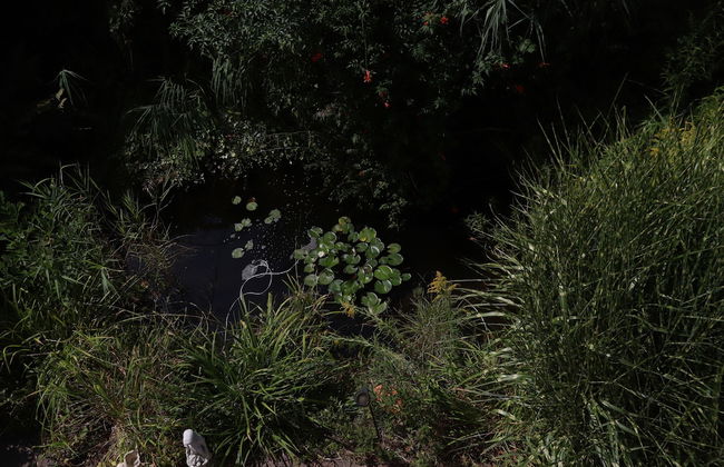 Ferienwohnungen Ries - Foto 35