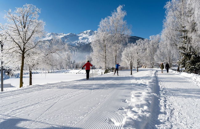 Luxury Chalet With Private Sauna in Uttendorf - Photo 53
