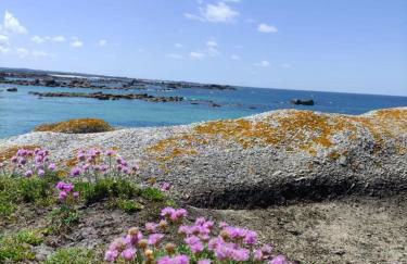 Le ty cocon - Foto 11