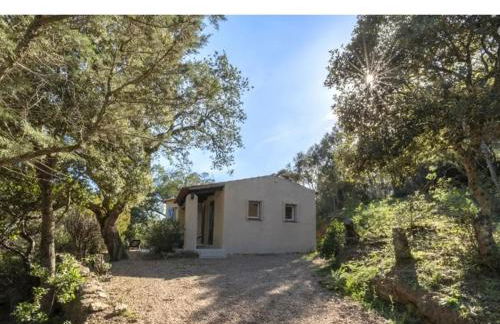 Villa Lavezzi F2 2-4 pers Rondinara, Bonifacio - Foto 10