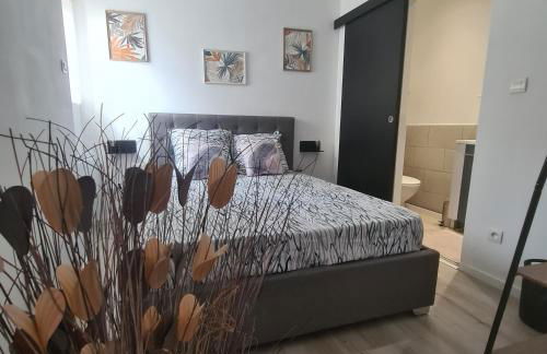 Très joli appartement 2 pièces, centre-ville - Foto 12