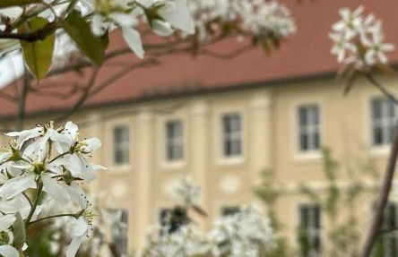 Arboris - Retreat into the open - Photo 49