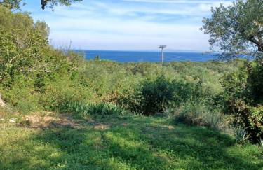 el paradiso - Foto 30