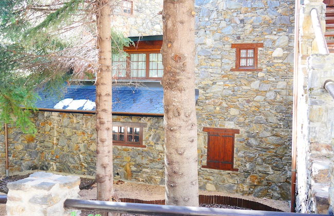 Vitivola Pleta del Tarter - Foto 18