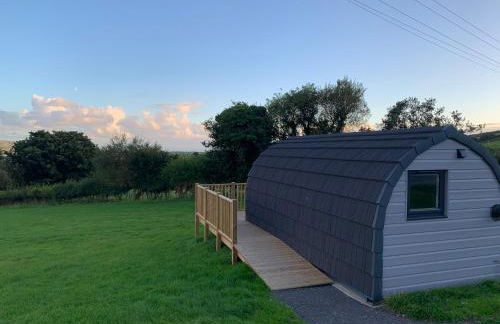 Dysynni Pod - Foto 15