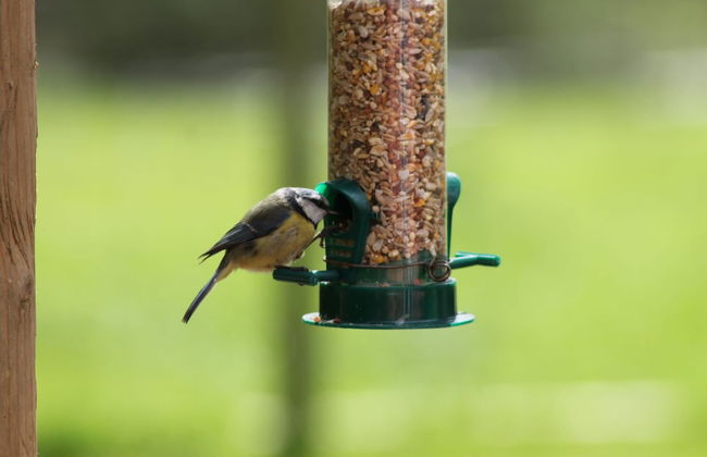 Colston Hall Cottages - Foto 46