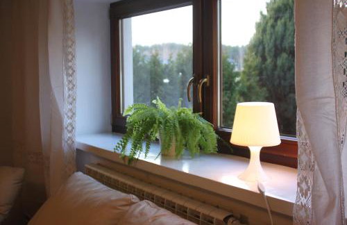 Dąbrowski - Photo 18