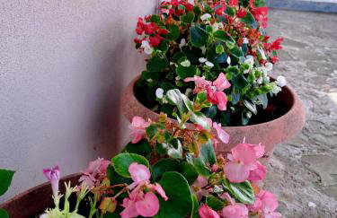 Villaggio traditional living - Foto 33