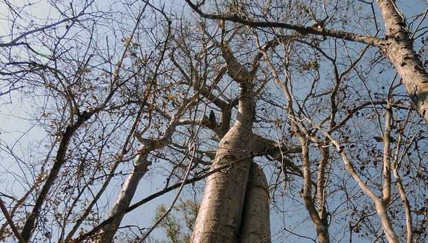 Andranomena Special Reserve - Photo 2