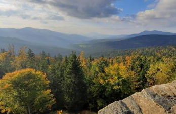 Ferienwohnung Wildgatter - Photo 34