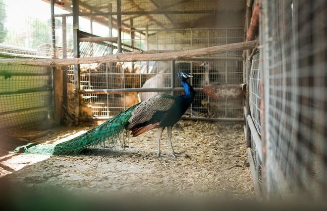 FondoBrugarolo - Foto 19