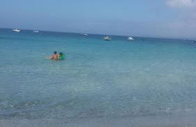 Agriturismo la Mimosa - Foto 24