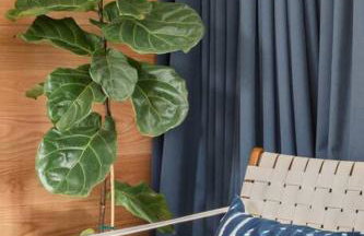 Cozy Bungalow Retreat Walking Distance to Downtown - Photo 11