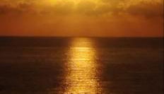 Medano Beach Villas - Foto 2