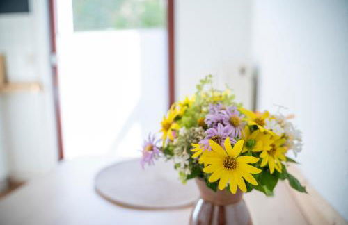 Haus unterm Mammutbaum - Elberadweg - Foto 62