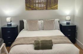 Cosy studio near London, ulez free - Photo 4