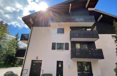 Cosy 2 pièces proche Châtel - Foto 29