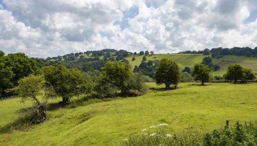 The Stone Barn - Photo 4