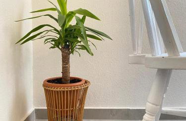 Apartments Hortenzija - Photo 71