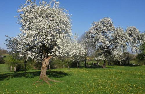 Charmante maison écologique avec jardin clos - FR-1-497-7 - Foto 12
