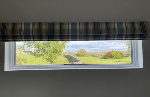 The Lily Pod - Foto 11