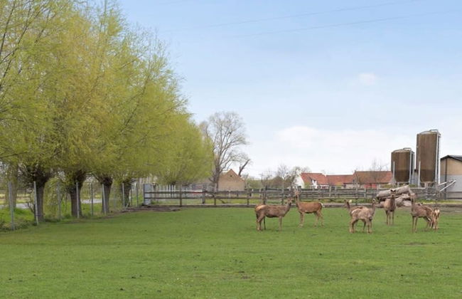 Family House With a Beautiful View in Damme - Foto 44