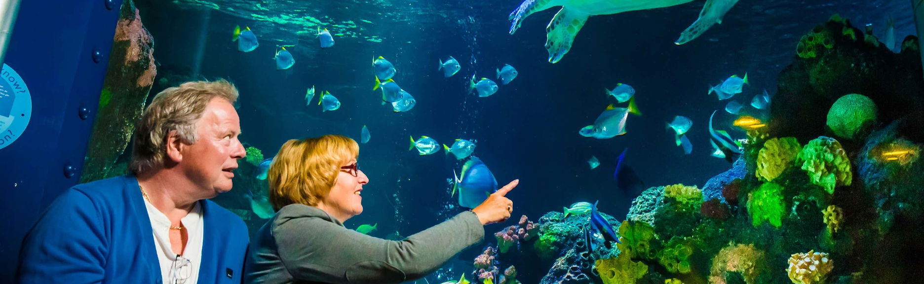 Ingresso do SEA LIFE® Timmendorfer Strand