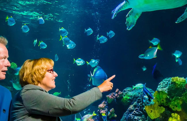 Entrada a SEA LIFE® Timmendorfer Strand - Foto 1