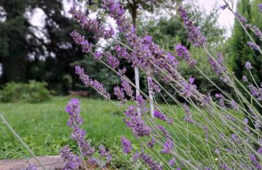 Apartmani Habibi - Foto 37