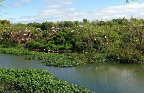 Steps To The Beach with Hot Tub Yard Games - Foto 53