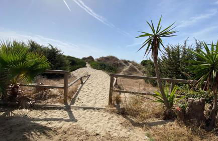 Super2beachfront - Foto 43