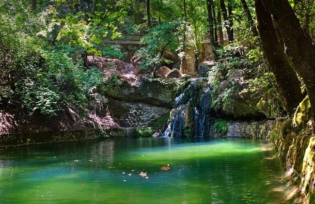 Vallée des papillons et vin, huile d'olive, visite de dégustation de miel (petit groupe) - Photo 1
