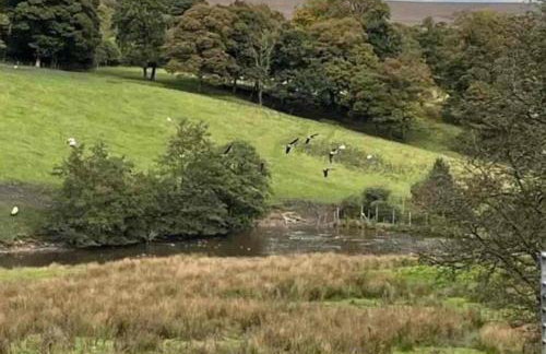 Grange Cottage - Foto 46