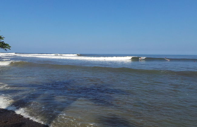 Medewi Manor - Foto 44