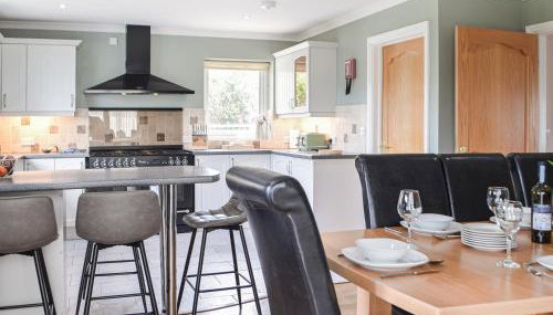 Rhosyn Gwyn - Foto 5