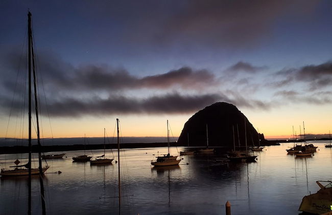 Gray's Inn & Gallery - Foto 45