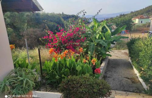 Aglaia House - Foto 11