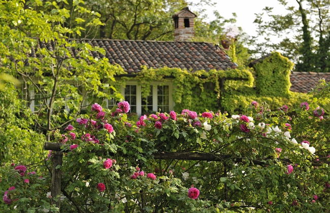 La Traversina - Agriturismo di Charme - Foto 34