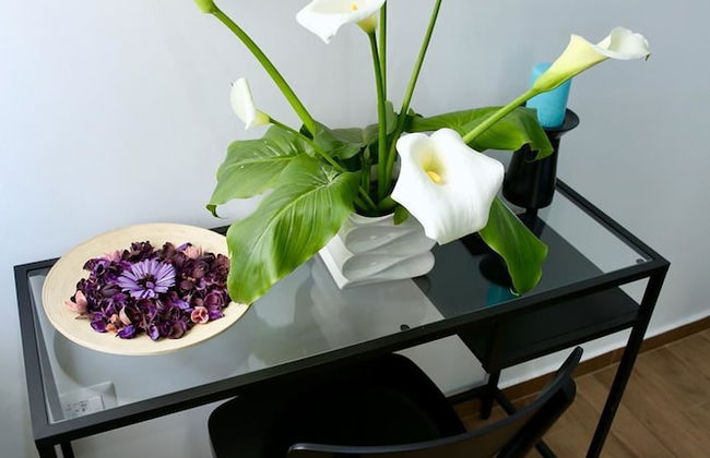 Affittacamere Andolfi 24 - Foto 44