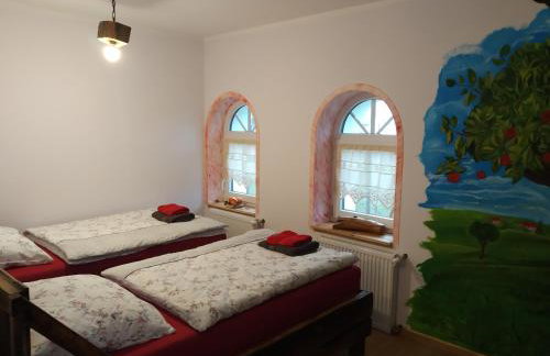 Skotopaska - Foto 42