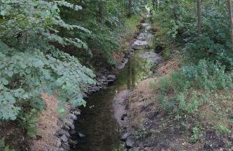 Ferienwohnung Haagedoernchen - Foto 29