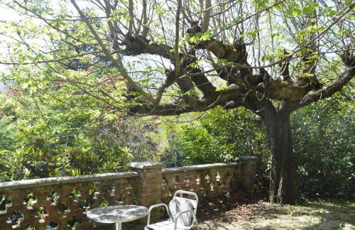 Villa Rollier, Arte e Meditazione - Foto 47