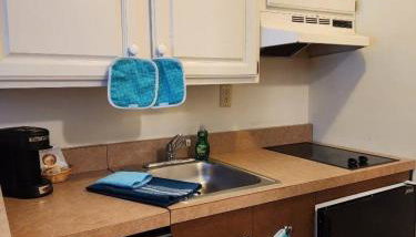 1st Floor Mountain View Suite Ski On Off At Jiminy- Fully Redone Decor - Foto 3