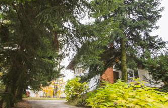 Old Chestnut Vacation Home - Foto 56