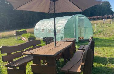 DoWielina - domki wśród natury - Foto 27