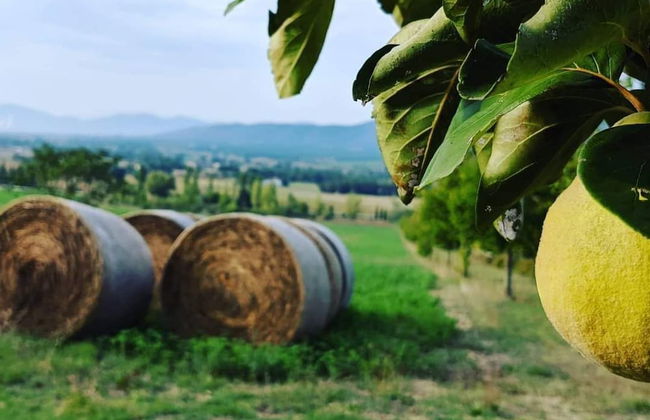 La Fonte di Montebuono - Foto 65