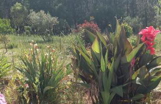 Quinta Do Centro - Foto 12