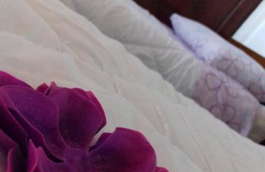 Seafront house Šolta - Foto 43